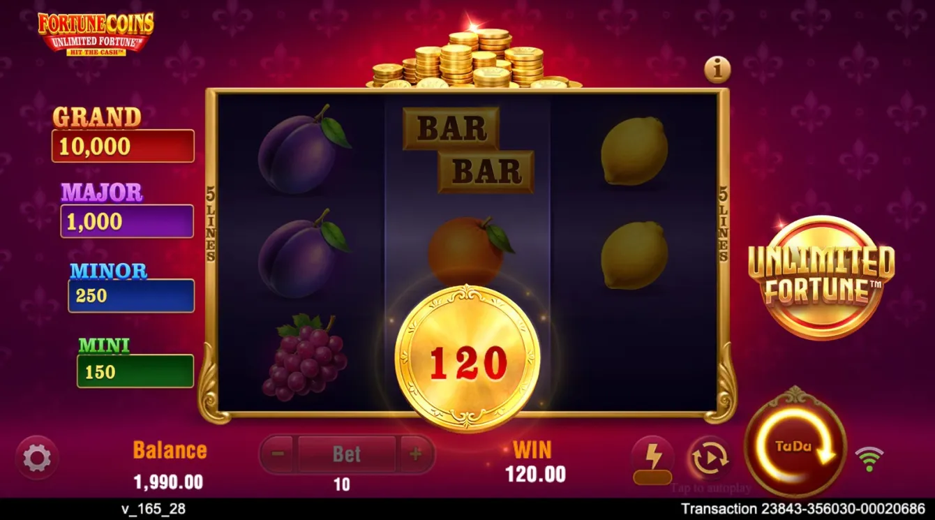 Fortune Coins Unlimited Fortune Slot