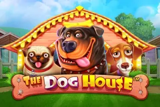 The Dog House slot demo by Pragmatic Play